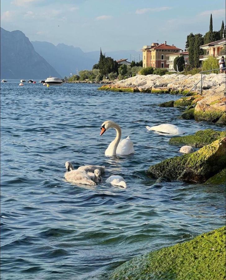 Villa Torre - Atmosfera Romantica Brenzone sul Garda Exterior photo